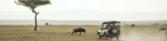 Banner How to Choose the Best Safari Destination Masai Mara game drive David Clodeh