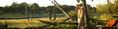 Best Waterhole Views - The Hide - Hwange National Park - Zimbabwe