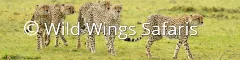 Banner Tours Safaris to Kenya Onne Vegter