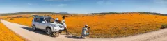 Banner Northern Cape South Africa Travel Guide
