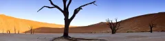 Dead Vlei, Namib Desert