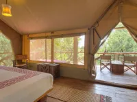 6 day masai mara budget safari wildlife game viewing accommodation experience 1