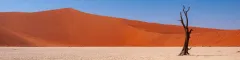 Iconic dead vlei in the namib desert in namibia