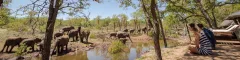 Man and woman sitting on waterhole facing deck in Balule watching elephants drink
