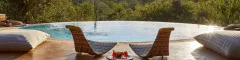 Bush facing infinity pool at Geigers Camp in the Timbavati