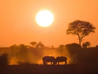 2 Adele and John Owens on safari in Kruger Rhinos 1