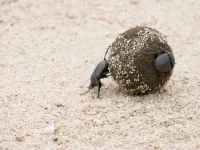 8 Adele and John Owens on safari in Kruger The Little Things 1