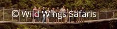 Wild wings team on a bridge on the panorama route