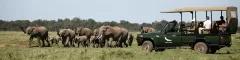 Elephant Sighting on 7 Day Kenyan Adventure Tour