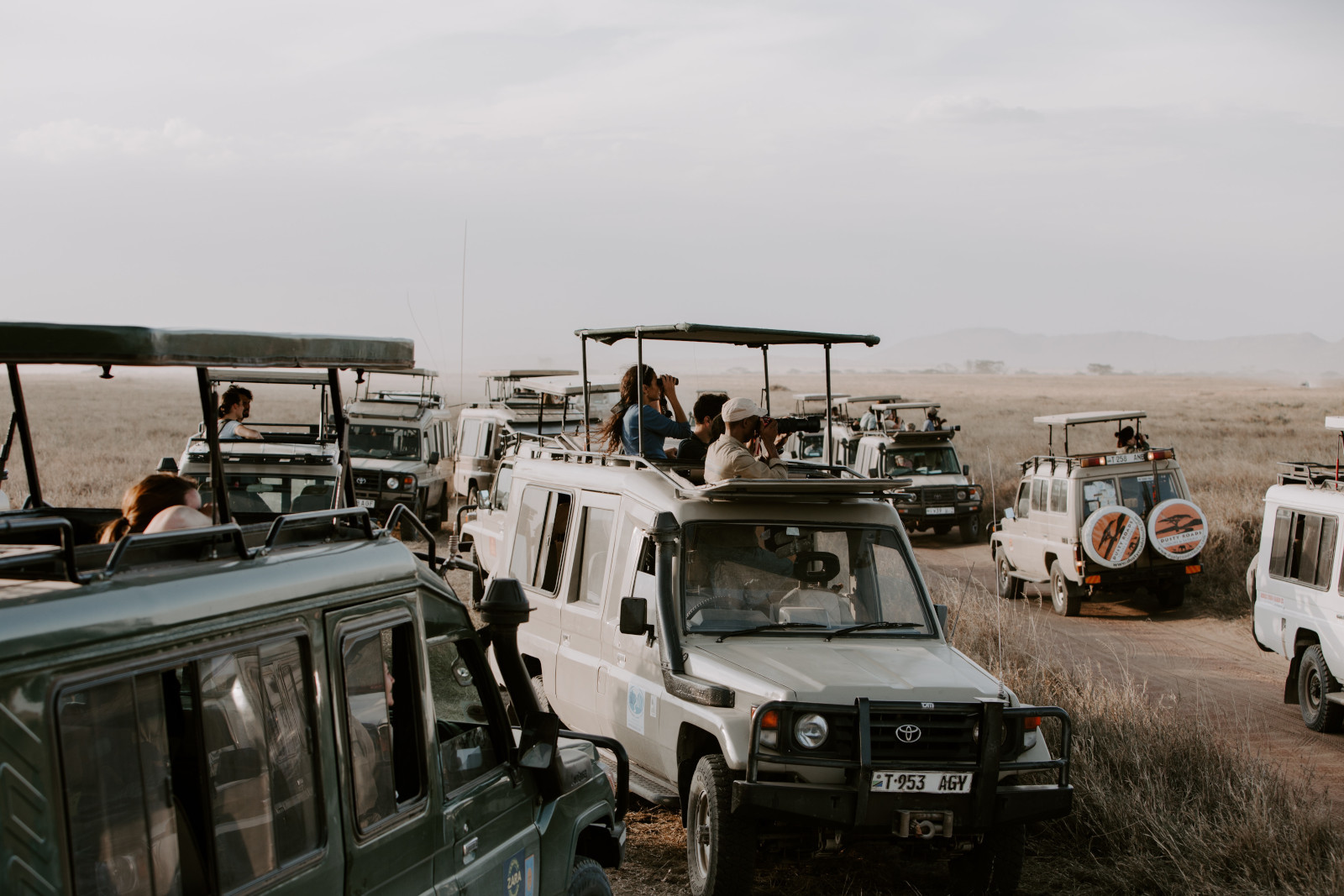 How Do I Avoid Crowds On A Tanzania Safari? How do I avoid crowds on a Tanzania safari? - gmedia