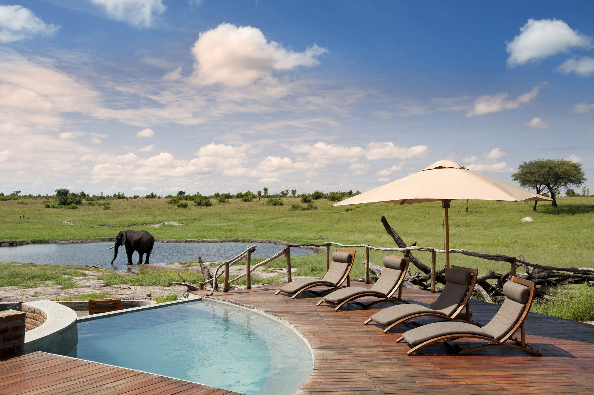 Top 6 Properties in Hwange National Park, Somalisa Camp, Hwange National Park