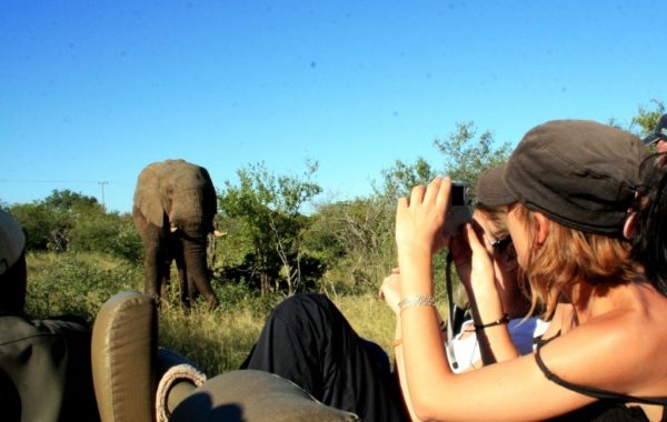 Mohlabetsi Safari Lodge | Balule | Greater Kruger National Park