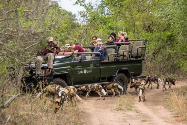 Sabi Sabi Little Bush Camp Sabi Sand Private Game Reserve - 