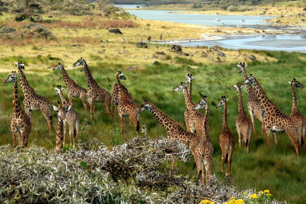 Travel Guide Arusha National Park | Tanzania