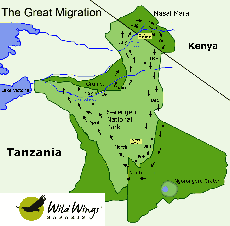 Serengeti Migration Map