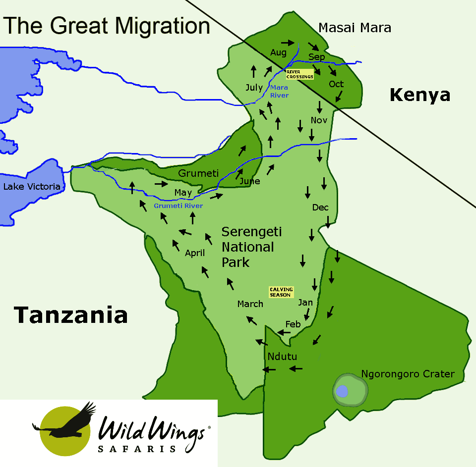 Wildebeest Migration Map