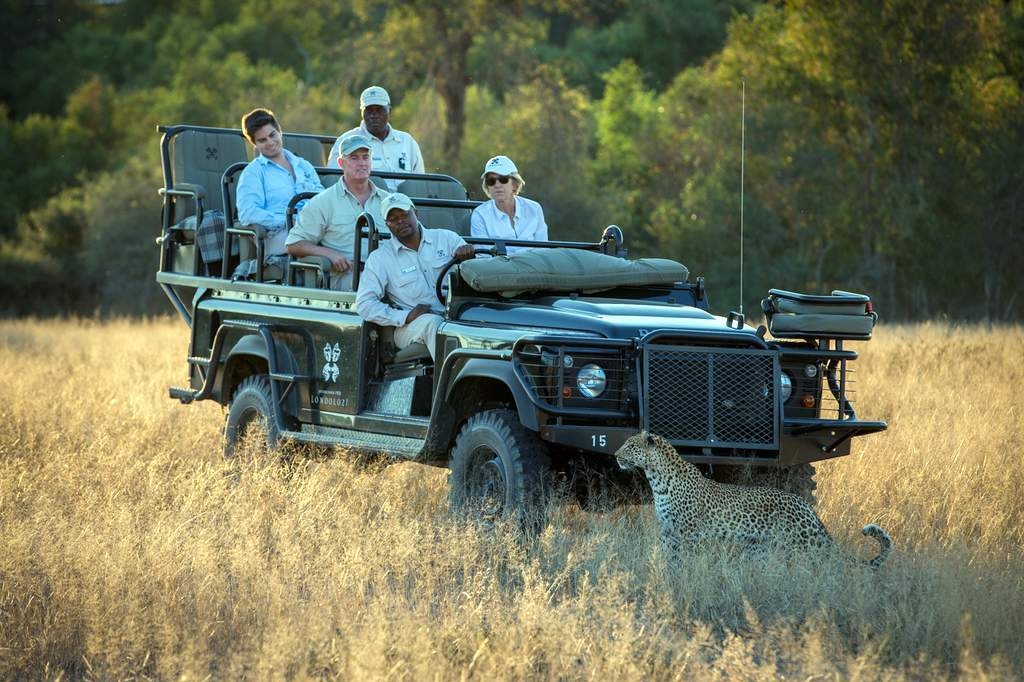 Londolozi Tree Camp | Sabi Sand Reserve