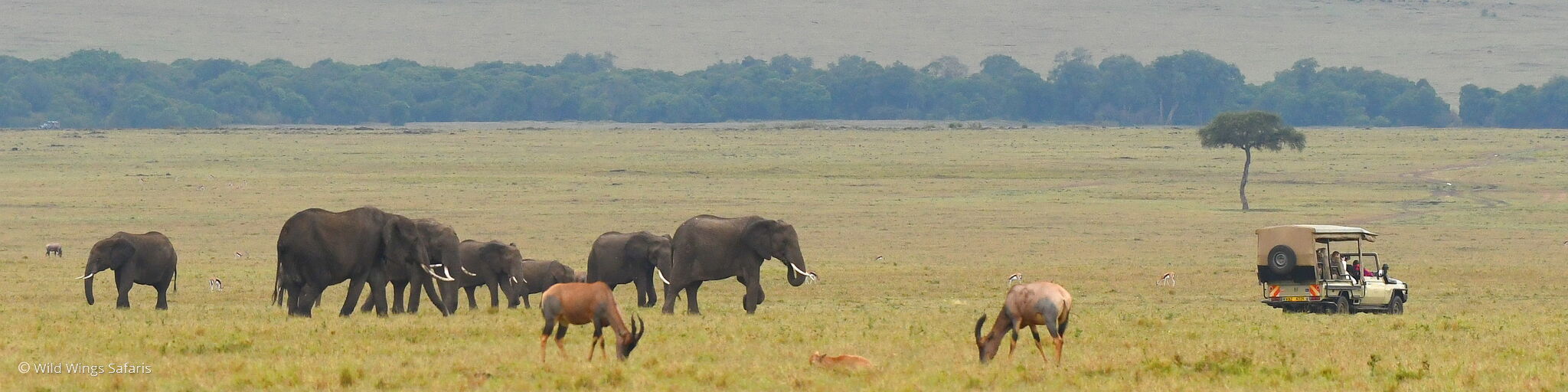 The Masai Mara outside Migration season