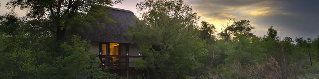 Sabi Sabi Little Bush Camp | Sabi Sand Private Game Reserve