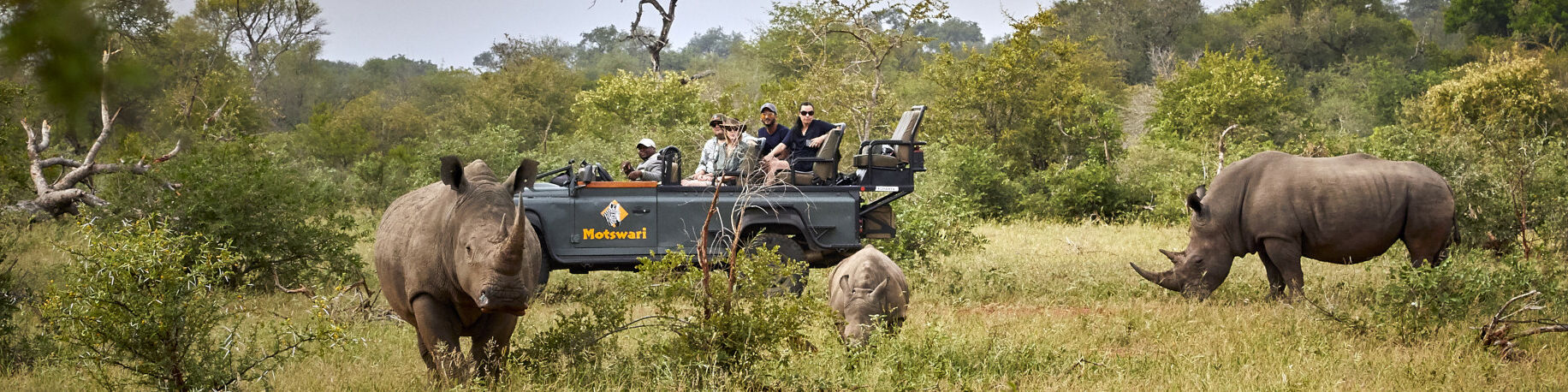 Banner Game drive Motswari Private Game Reserve Timbavati South Africa
