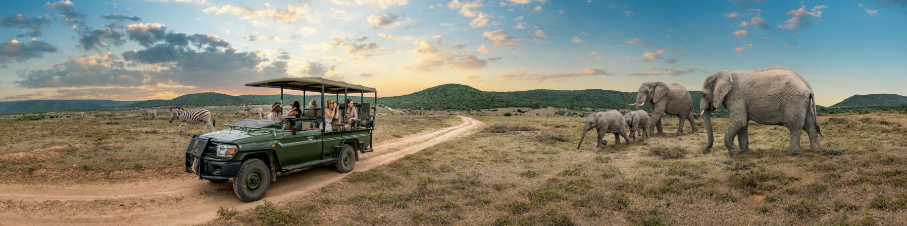 Banner Group of friends on a game drive surrounded by animals at the Shamwari Game Reserve