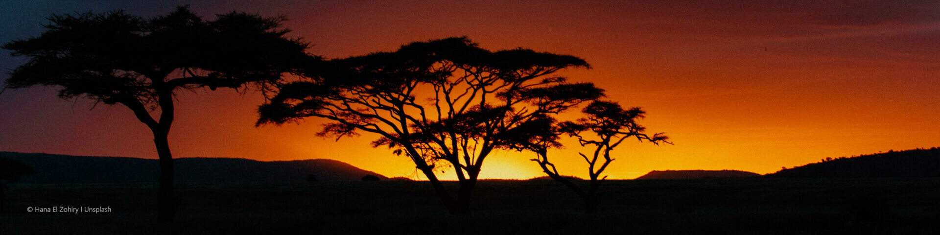 Banner Tours Safaris to Serengeti National Park Tanzania Hana El Zohiry