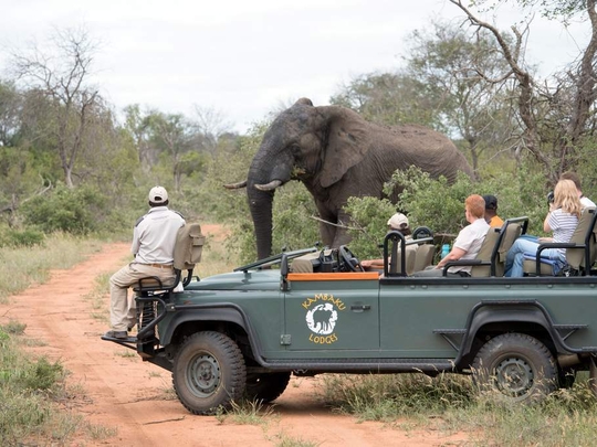 Kambaku River Sands | Timbavati Private Reserve