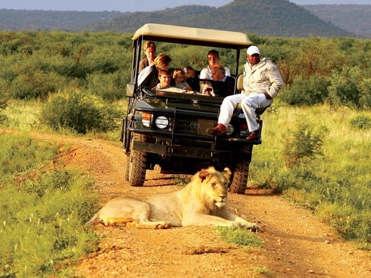 Madikwe Hills Private Game Lodge | Big 5 Madikwe Game Reserve