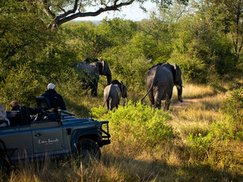 Lion Sands River Lodge | Sabi Sand Game Reserve