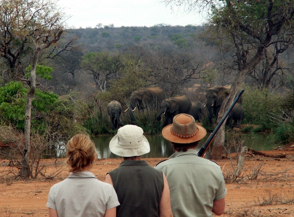 Mohlabetsi Safari Lodge | Balule | Greater Kruger National Park