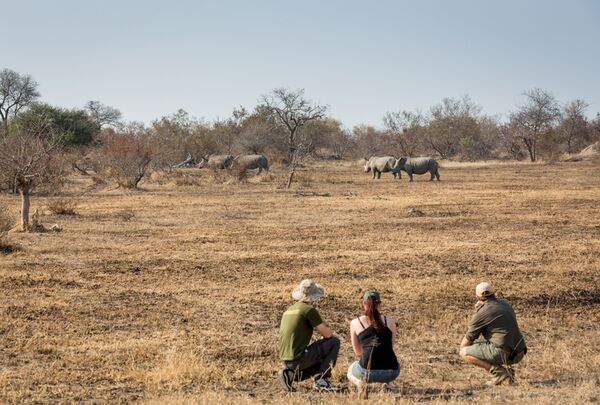 Picking the Right African Safari Operator