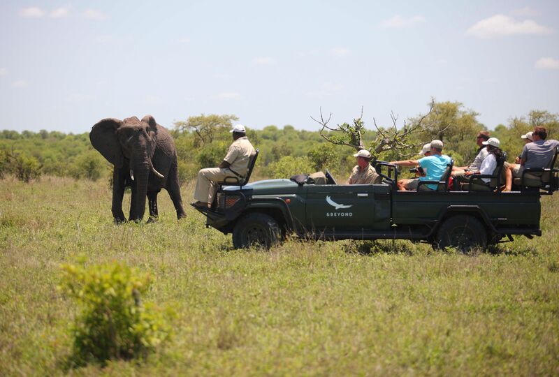 Why Timbavati Game Reserve?