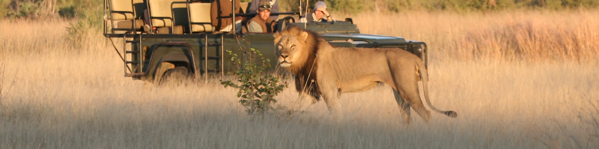 Camp Hwange Stay 4 Pay 3 Special Offer Game viewing