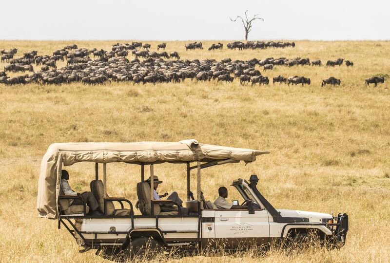 How expensive is an African safari?