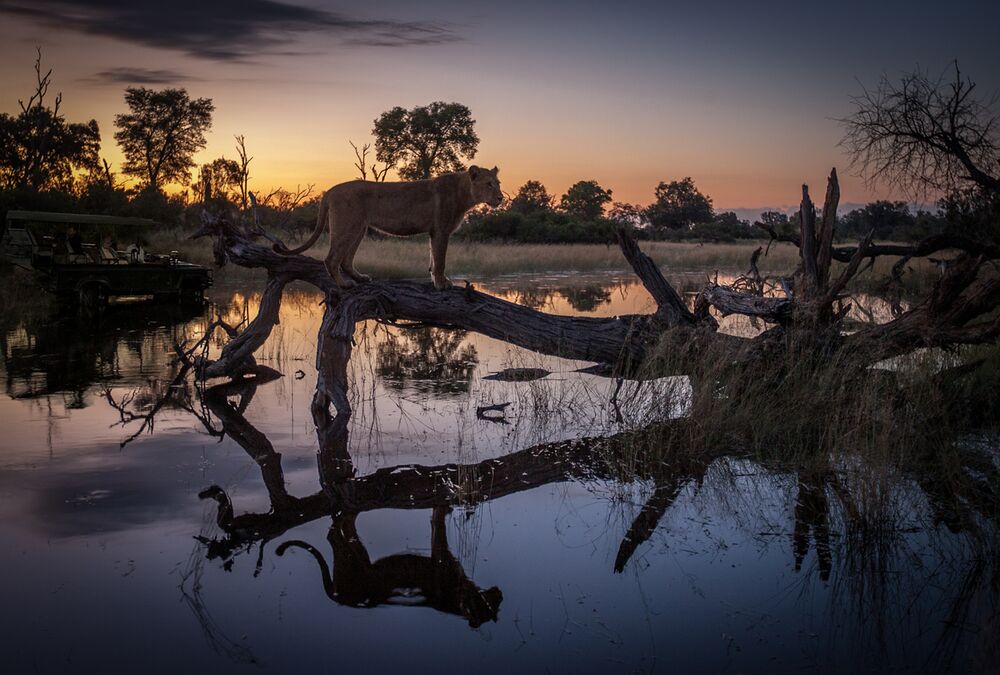 How expensive is an African safari?