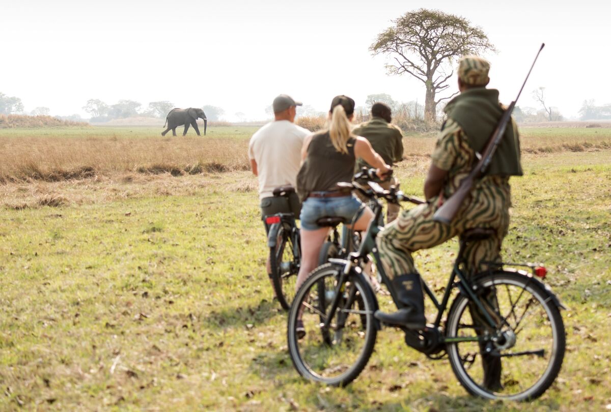 How expensive is an African safari?