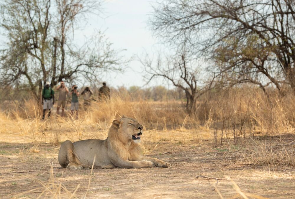 How expensive is an African safari?