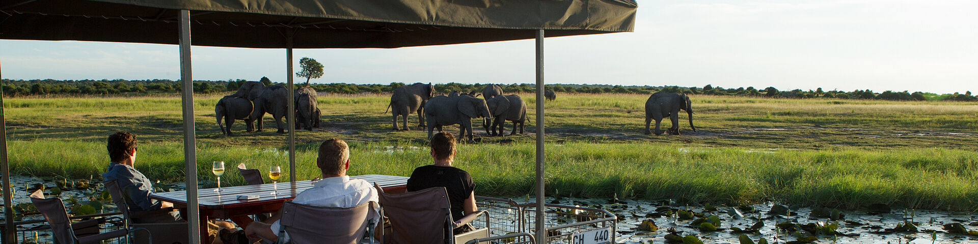 Chobe Game Lodge River Safari Elephant- banner