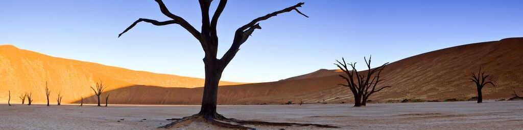 Dead Vlei, Namib Desert