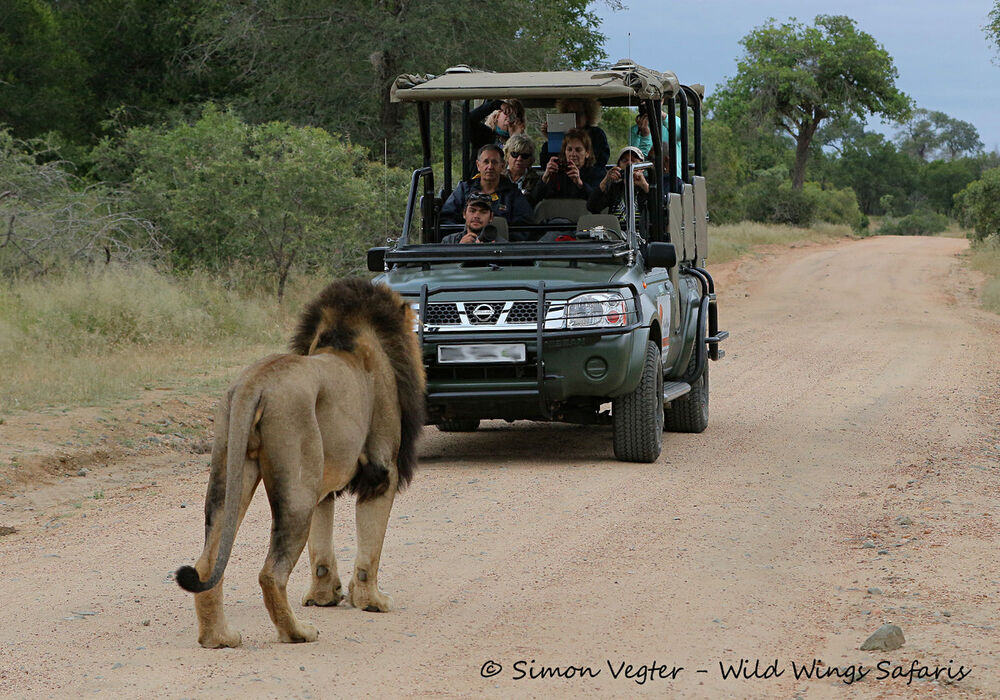 What is the difference between the Kruger National Park and the Private ...