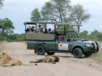 Travel Guide Kruger Park & Private Game Reserves - Safari Guide