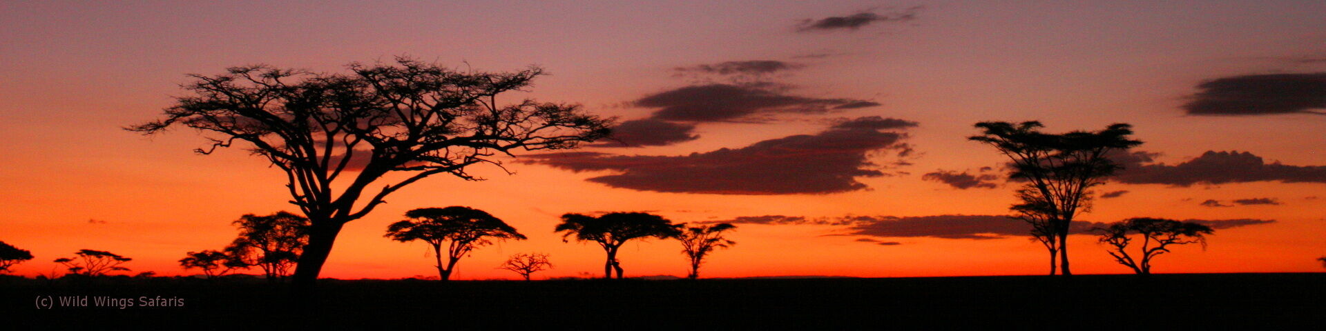 7 Day Tanzania Safari