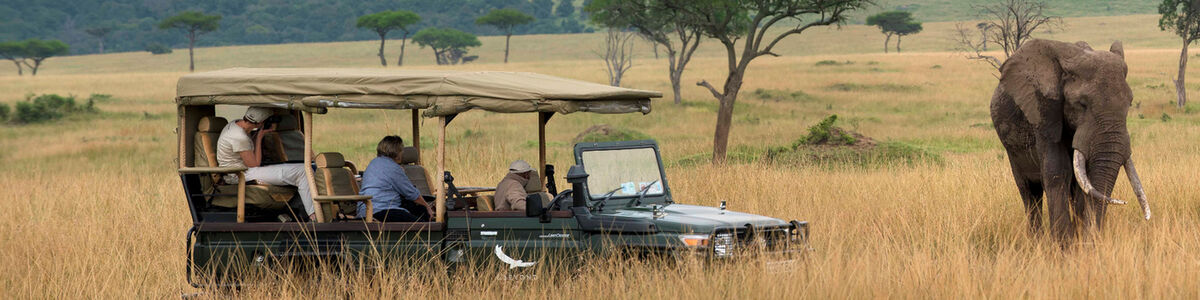 Best African Safari & Wildlife Tours - Wild Wings Safaris