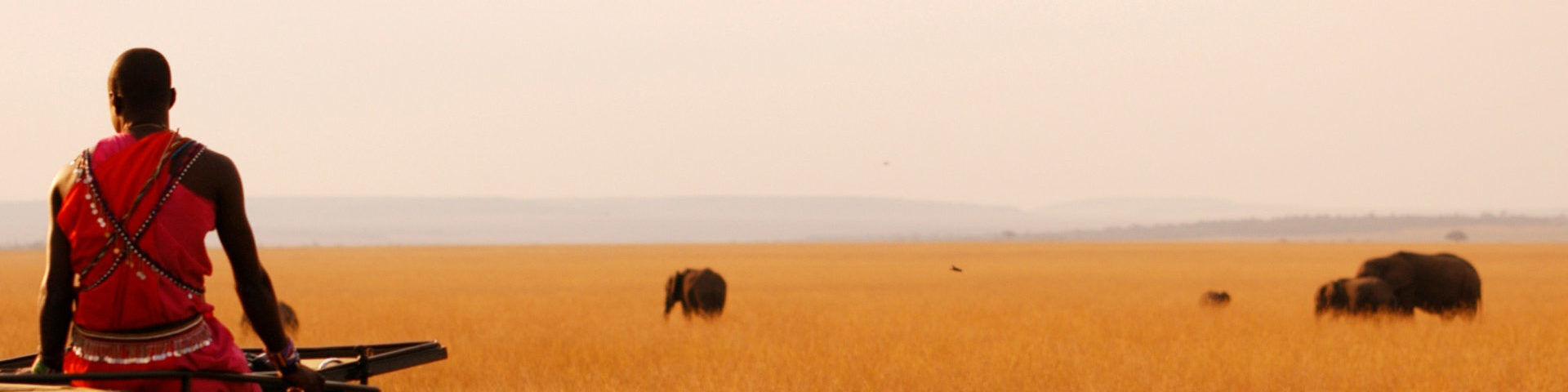 Elephant Game Drive with Maasai Tracker in Kenya