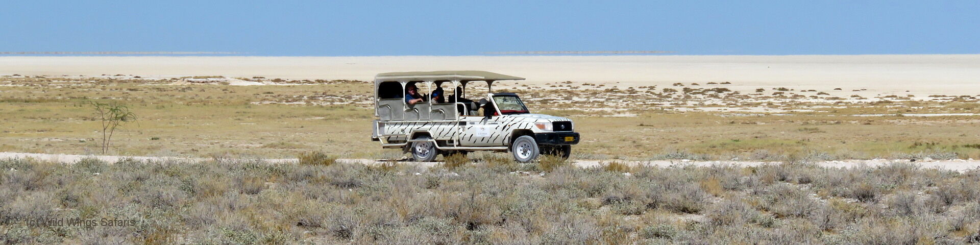 10 Day Best of Namibia Safari, banner