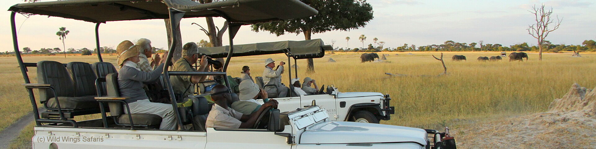 Zimbabwe safaris hwange
