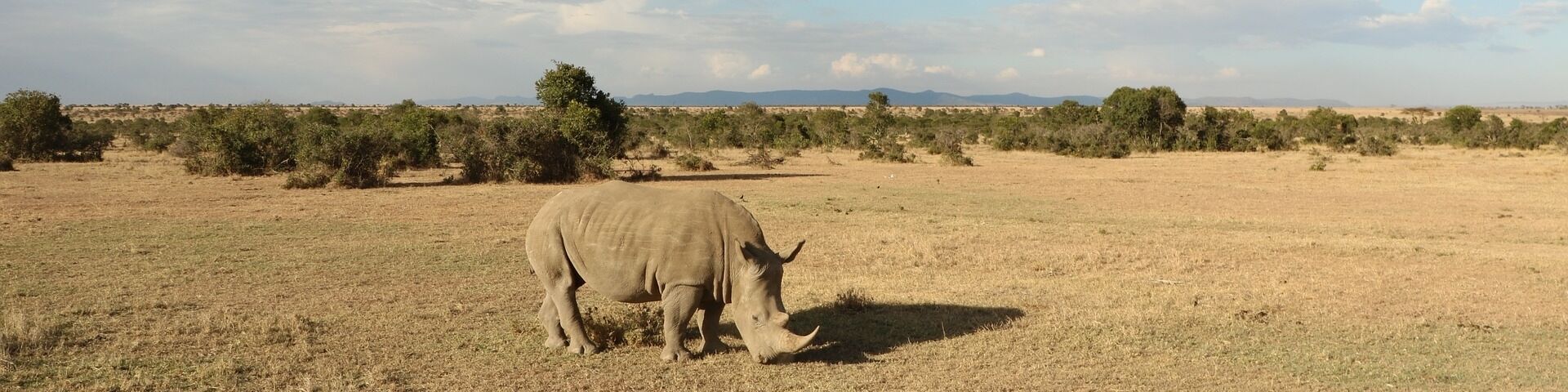 Desert Rhino Camp, Palmwag Concession