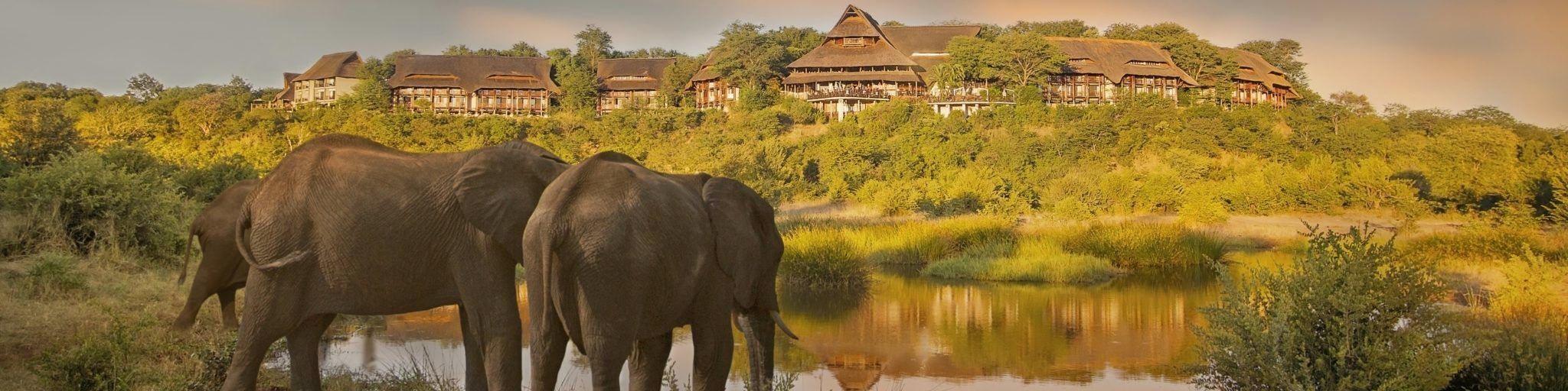 Victoria Falls Safari Lodge elephants in front of lodge banner