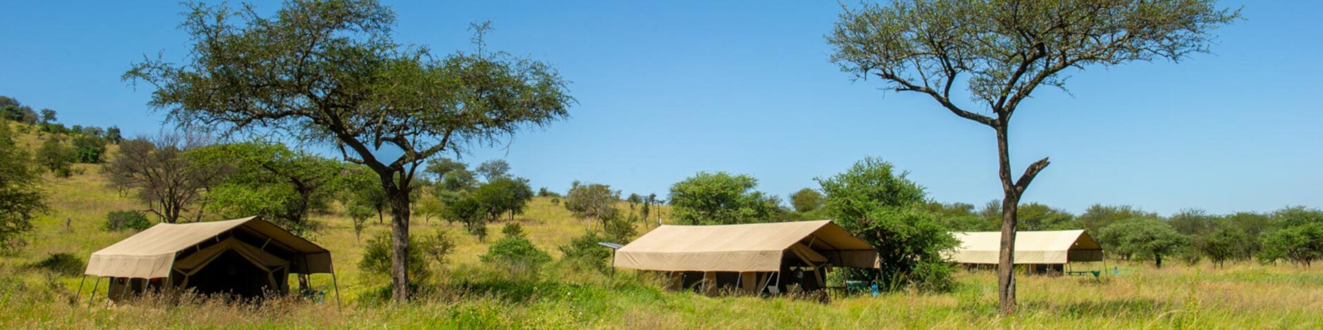 Kati Kati Camp - Central Serengeti - Tanzania