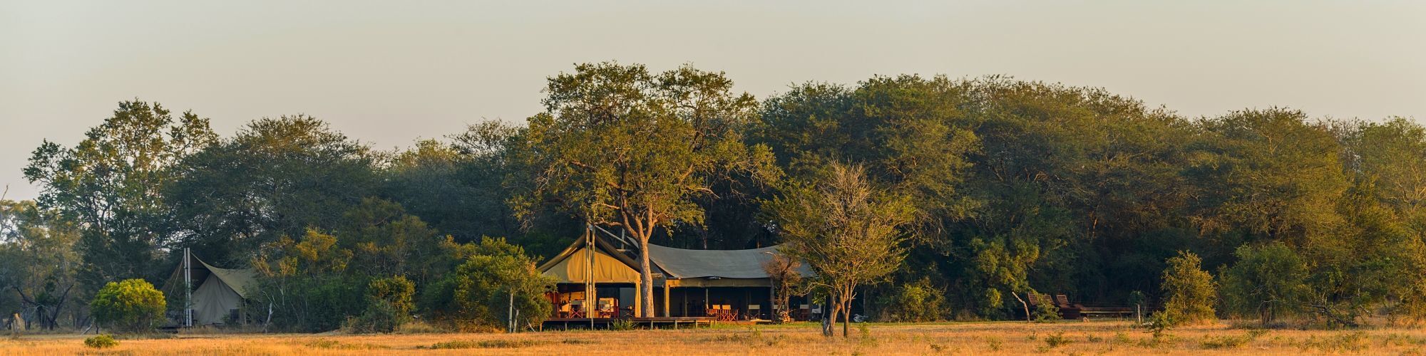 Plains Camp Home of Rhino Walking Safaris, Banner